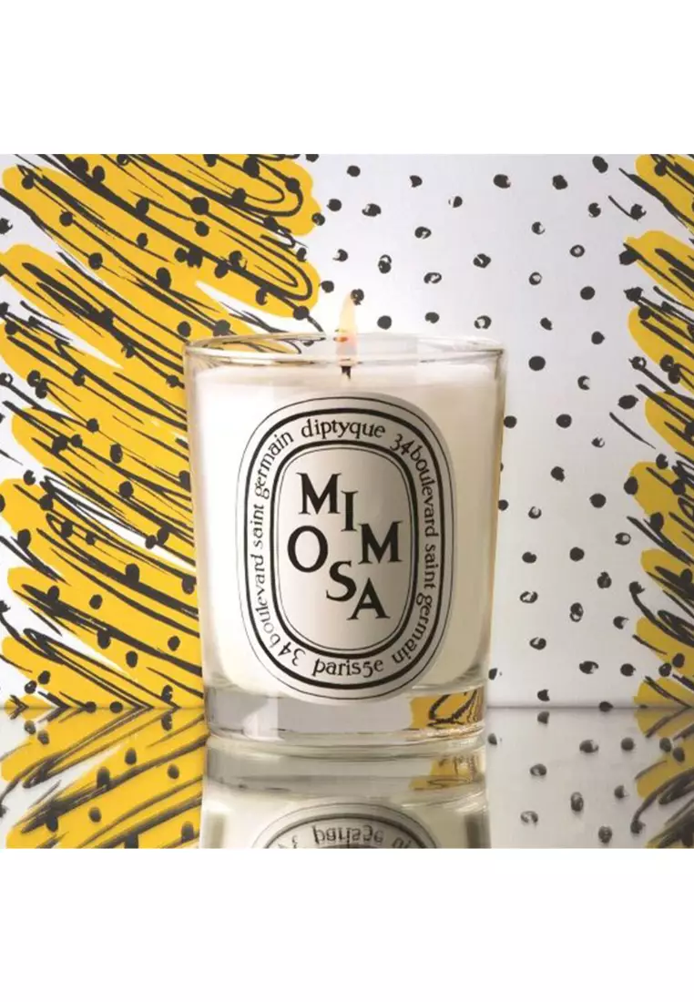 Buy Diptyque Diptyque - scented candle - Mimosa 190g 2026 Online