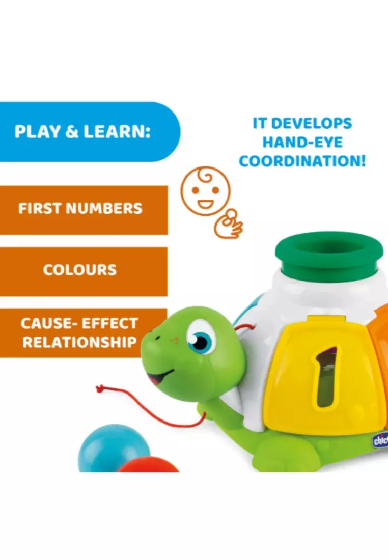 Turtle Sort & Surprise Toddler Toy