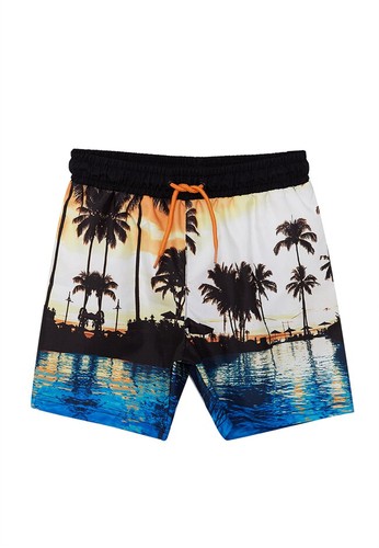 fast drying swim shorts