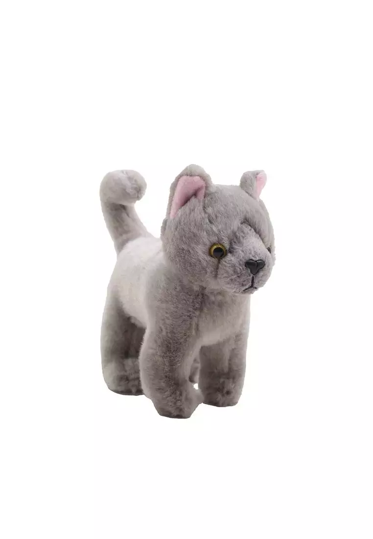Chartreux 8 Inch