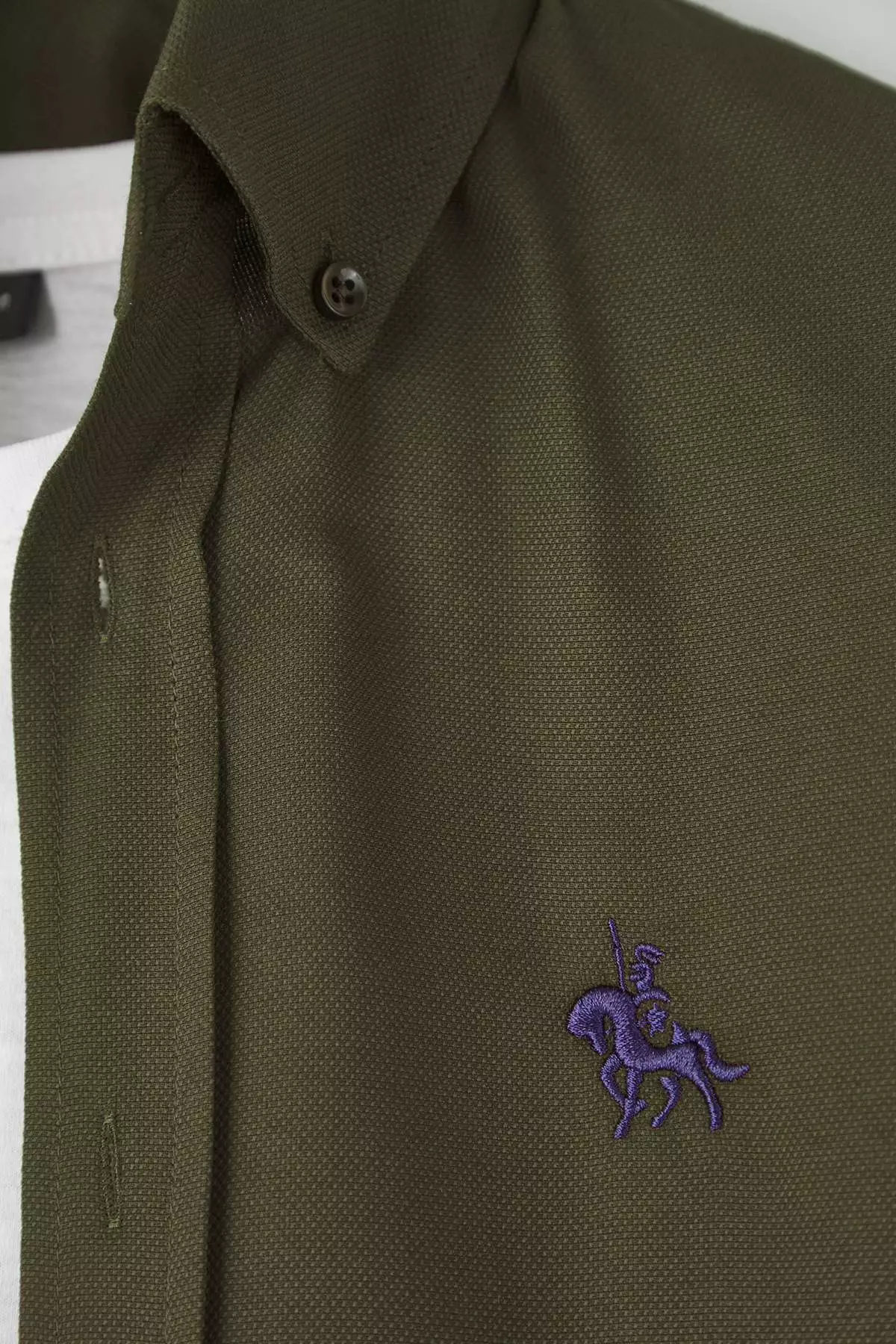 Dark Khaki Regular Fit Embroidery Detailed Oxford Easy Iron Smart Shirt