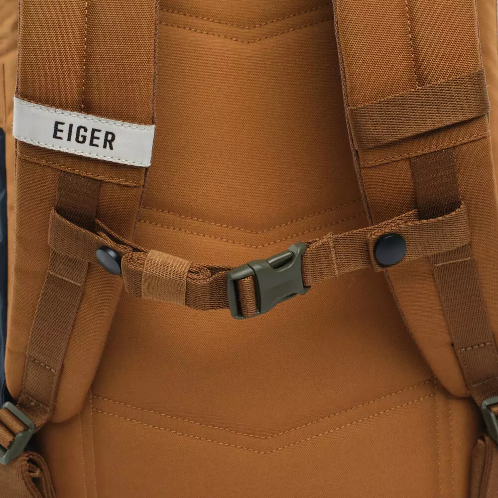 Eiger Avenue Class Daypack 20L Laptop