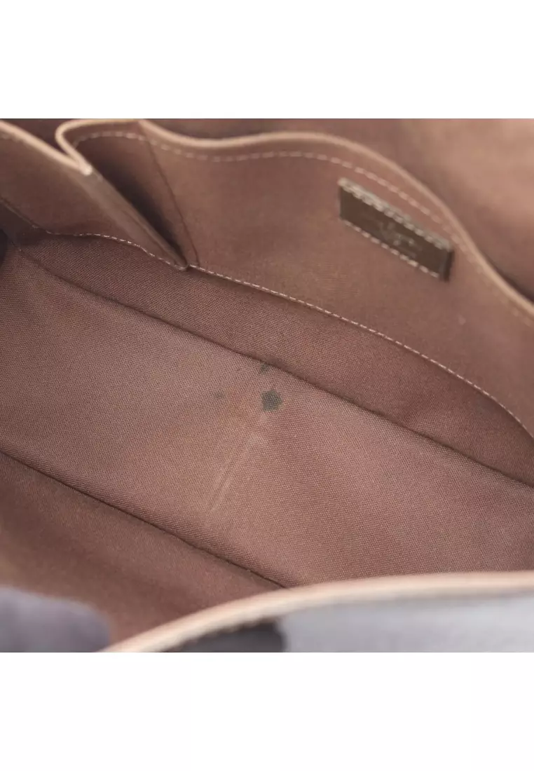 Pre-Loved Louis Vuitton Andrei taiga grizzly bear Shoulder bag leather Dark brown