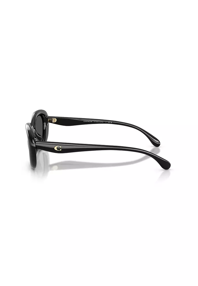 Women's Oval Frame Black Injected Sunglasses - HC8448U