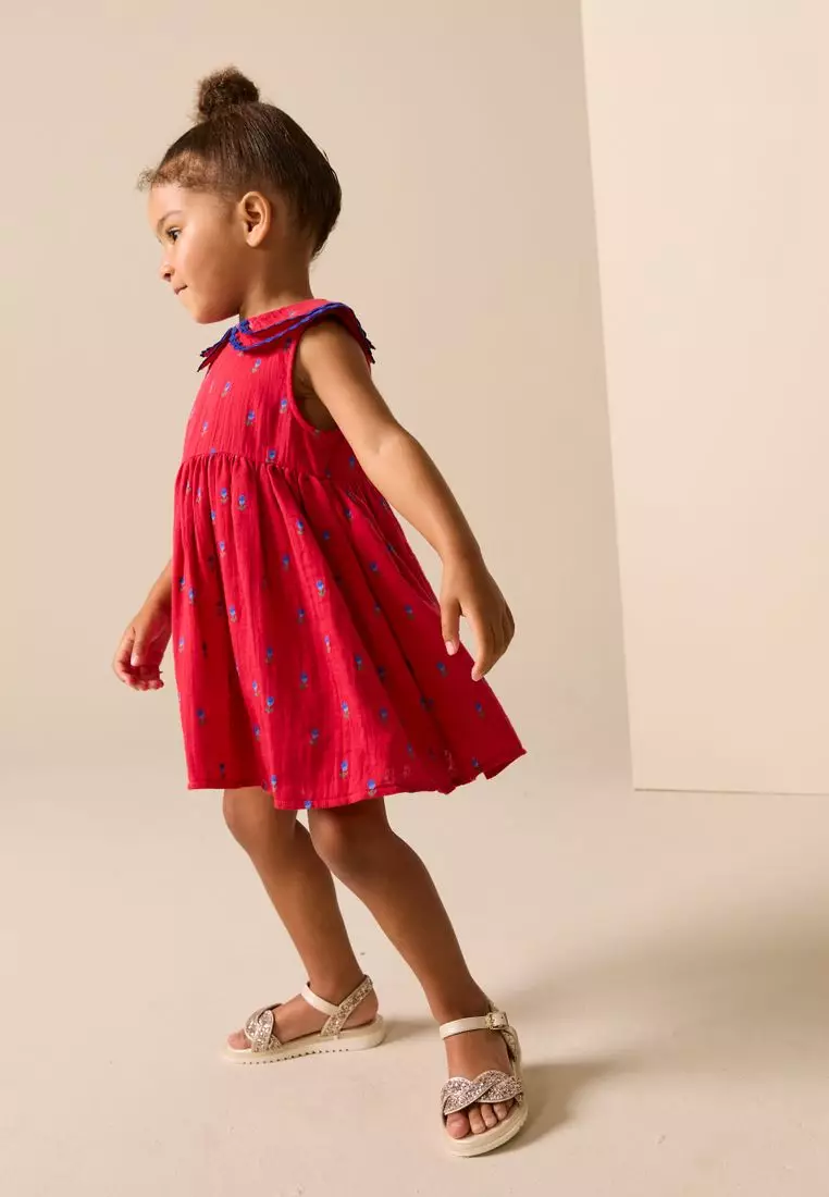 Ric Rac Collar Dress