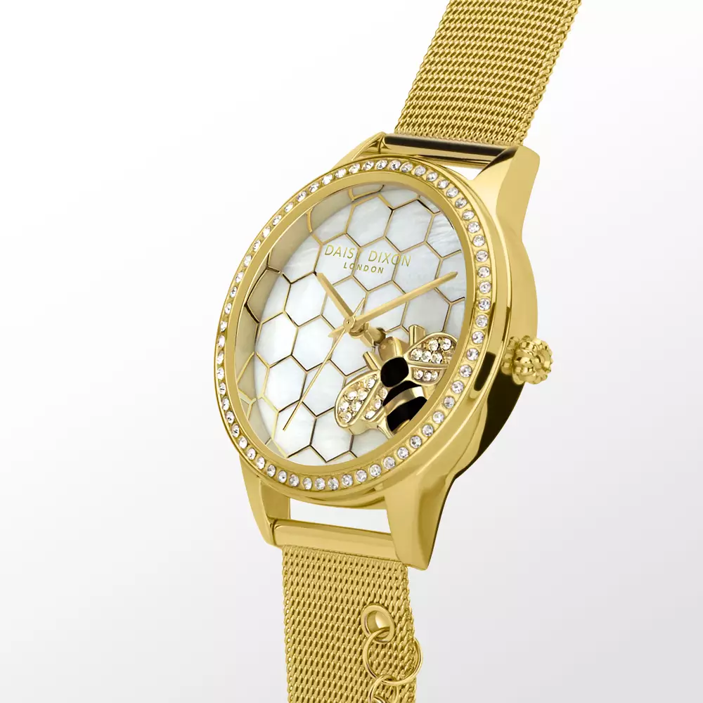 Daisy Dixon Casual Women's Watches DD 178GM