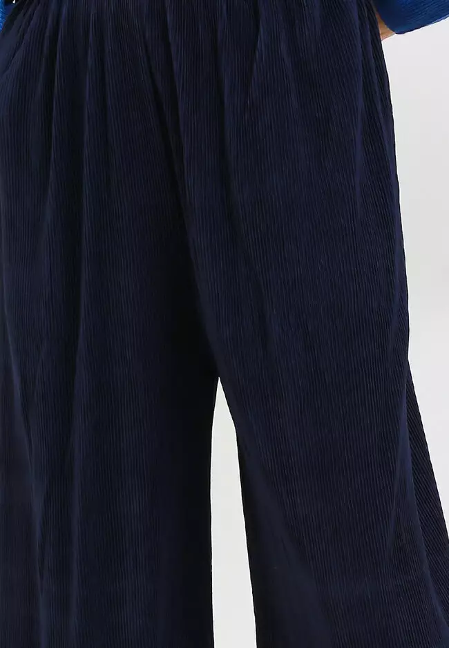 Pleated Pants