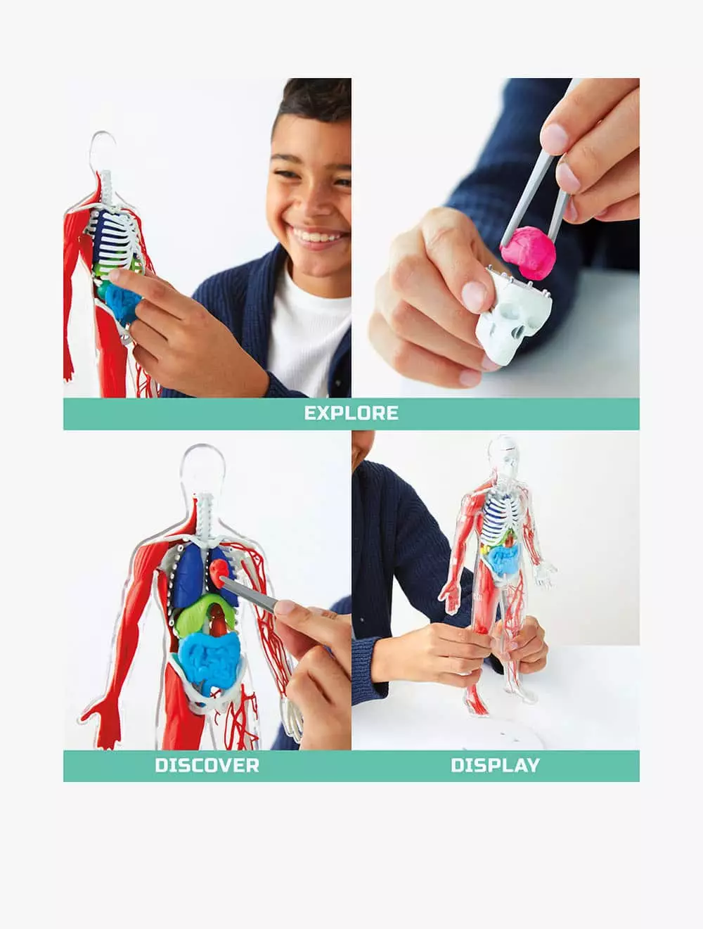 Discovery Mindblown Toy Human Anatomy Kit - DCN1423015831 - Multicolor