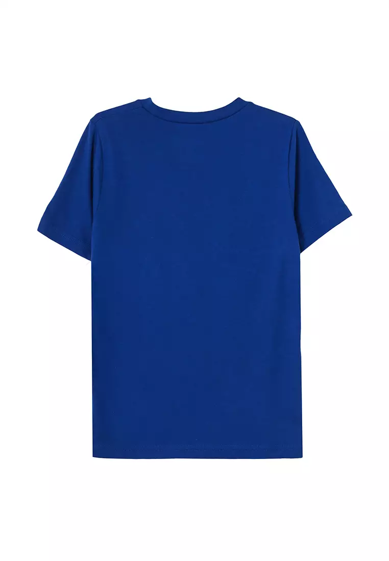 Buy Under Armour Boys Curry 30 Short Sleeves T Shirt in Royal