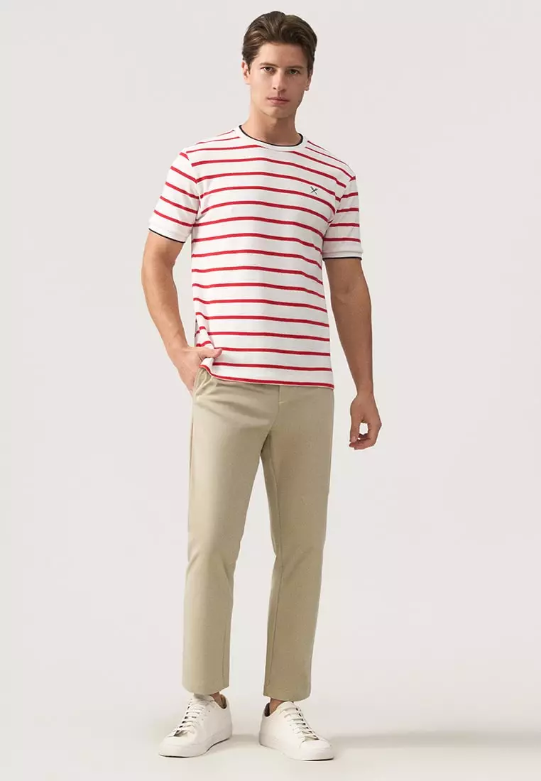 Regular Fit Striped T-Shirt With Contrast Tipping Detail In Honeycomb Pique
