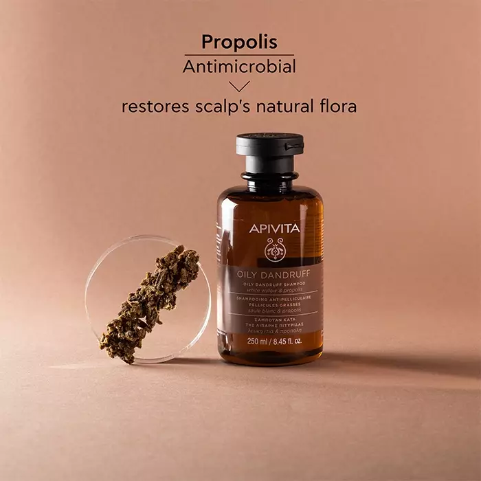 Apivita Oily Dandruff Shampoo 250 ml | Sampo Natural Non SLS Anti Ketombe untuk Rambut Kulit Kepala Berminyak Untuk Rambut Lembut