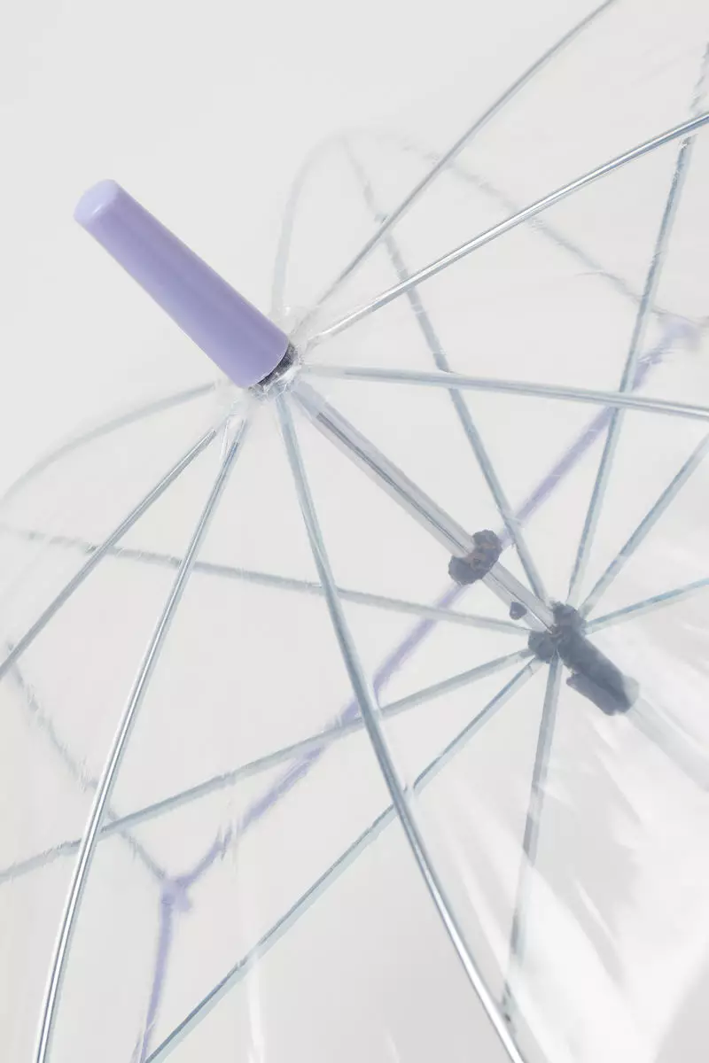 Transparent umbrella