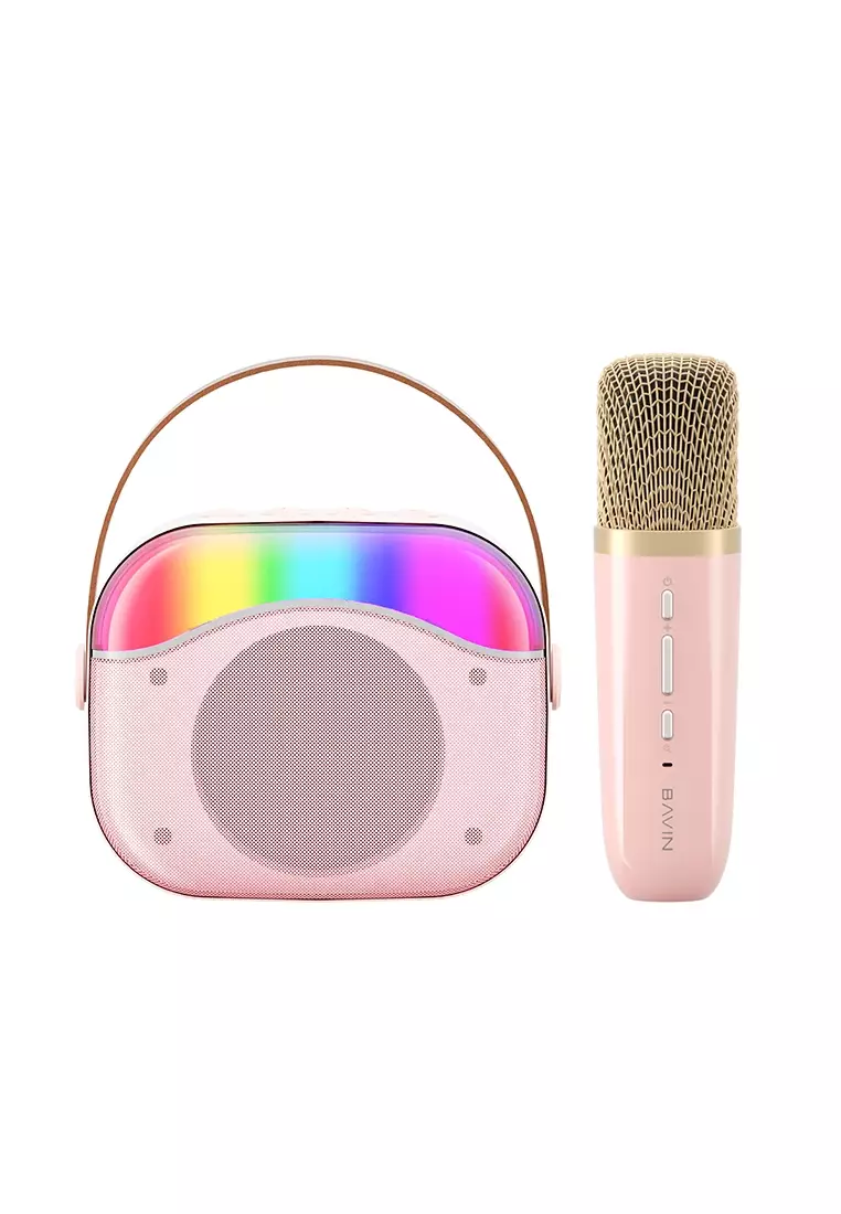 Small portable microphone and hot sale speaker