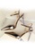 Twenty Eight Shoes gold VANSA Pointed Toe Ankle Strap Heel VSW-H861 92E6BSHA57A225GS_5