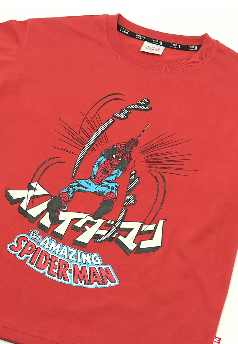 Boys Licensed Oversize Graphic T-Shirt Amazing Swing