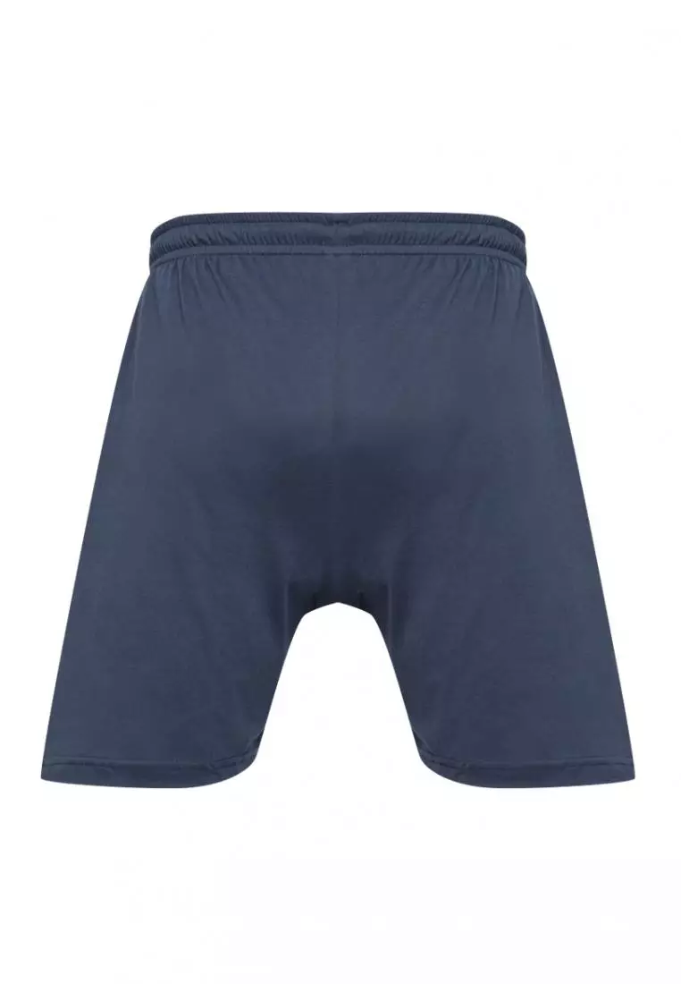 Buy Walker Underwear Boxer Brief 2024 Online | ZALORA Philippines