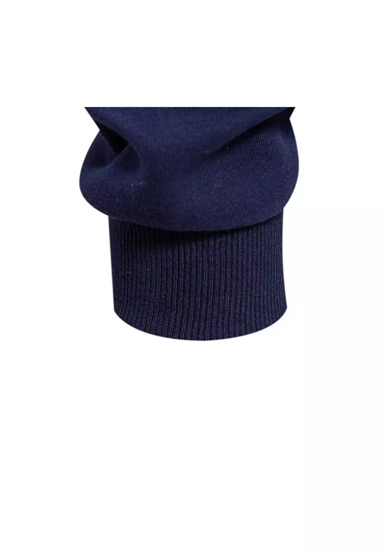 Casual Long Sleeve Polo Shirt AX-HD05