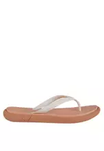 Coral/Nube