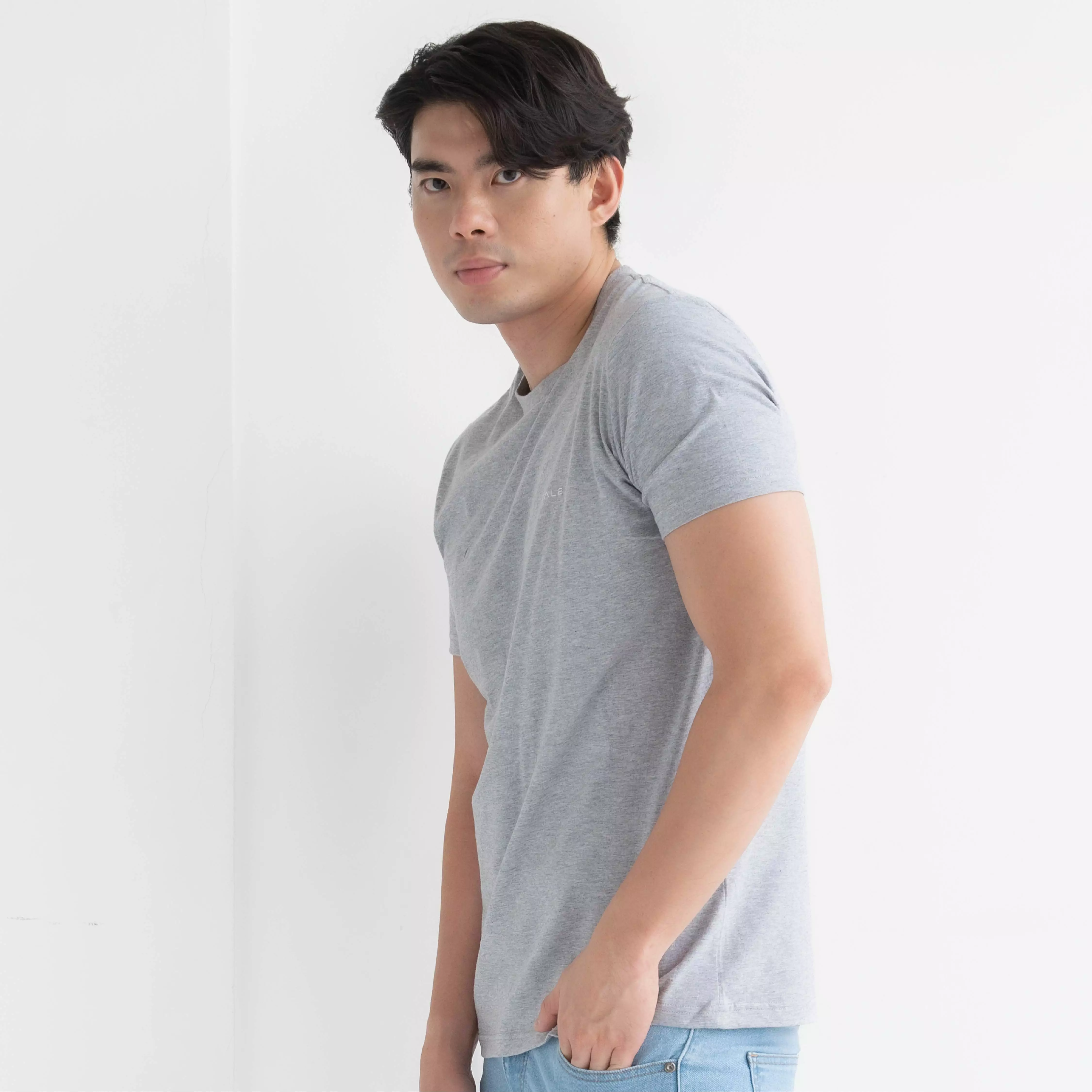 Kale Arion Misty Grey / T-Shirt Pria Lengan Pendek / Unisex