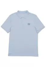 31 Subdued Blue