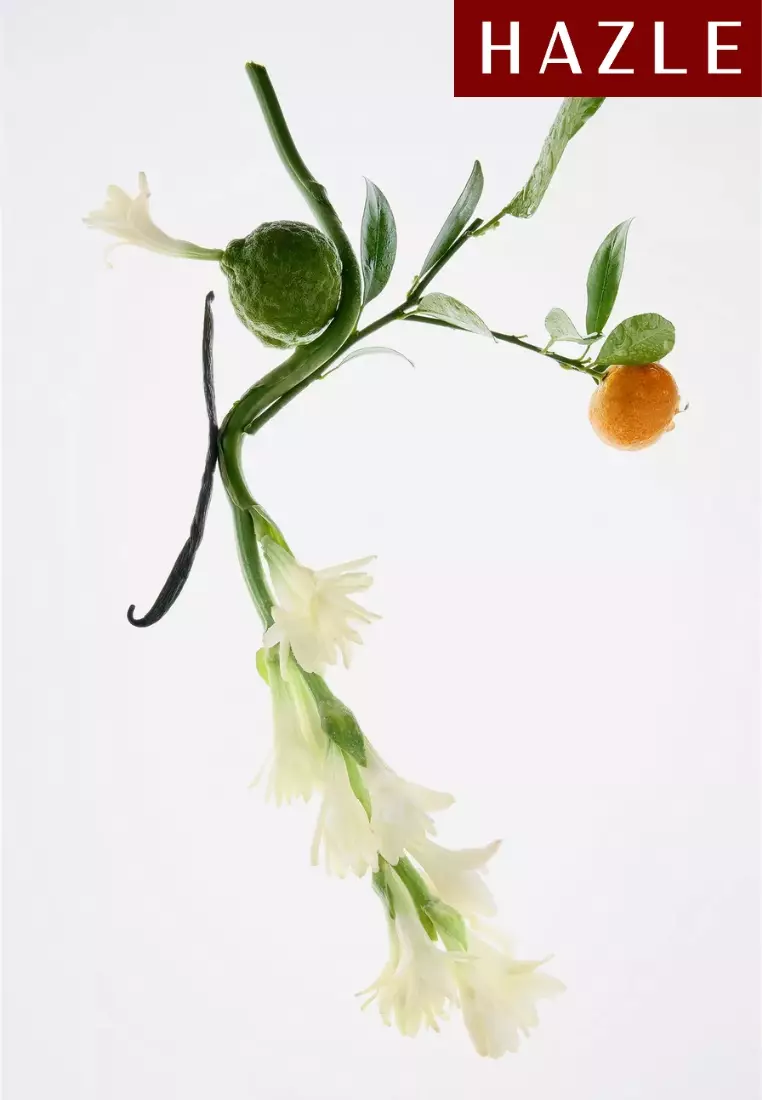 Zara Sublime Epoque Woman EDP 80 ml