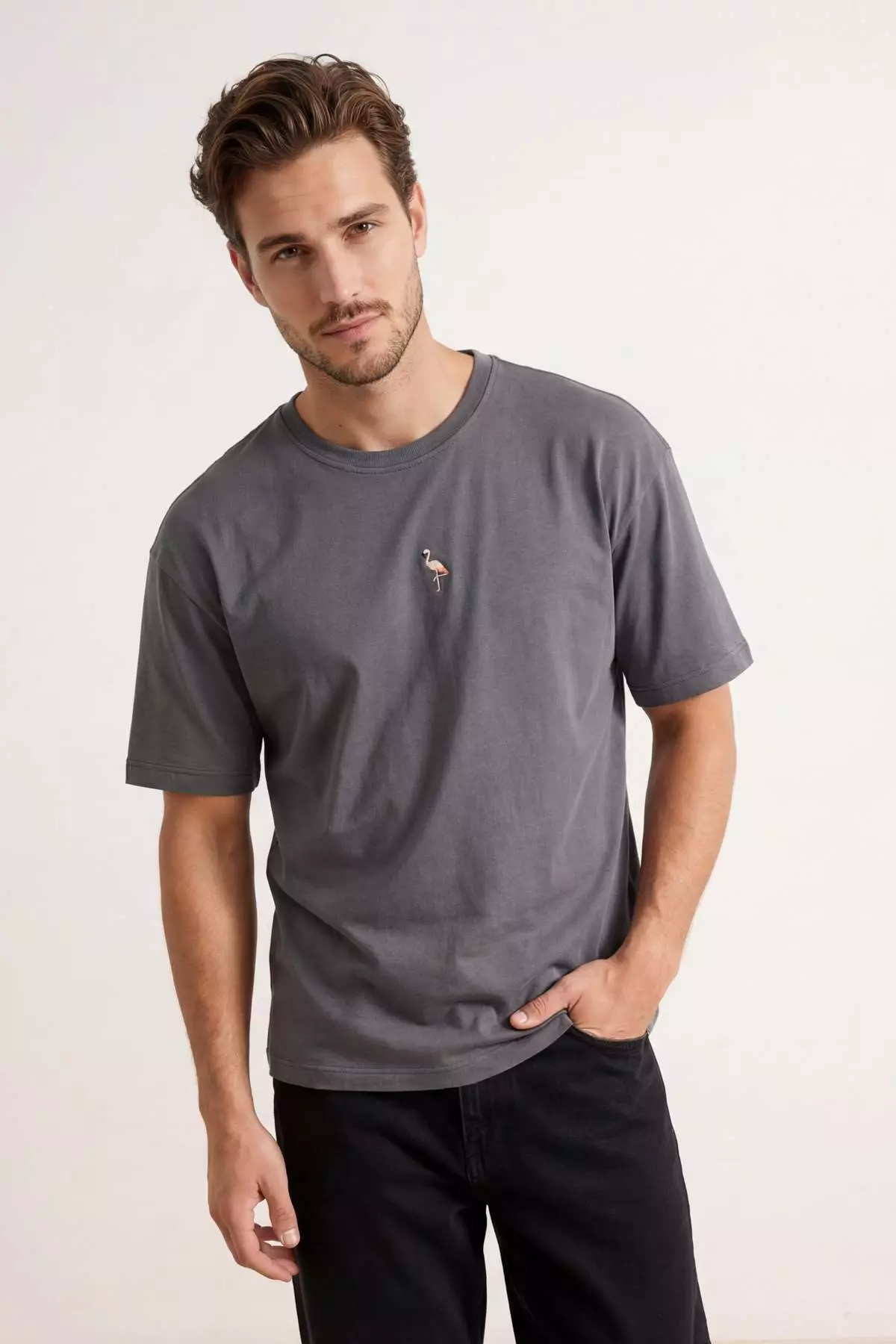 Anthracite Oversize/Wide Cut Penguin Embroidered 100% Cotton T-Shirt TMNSS23TS00243