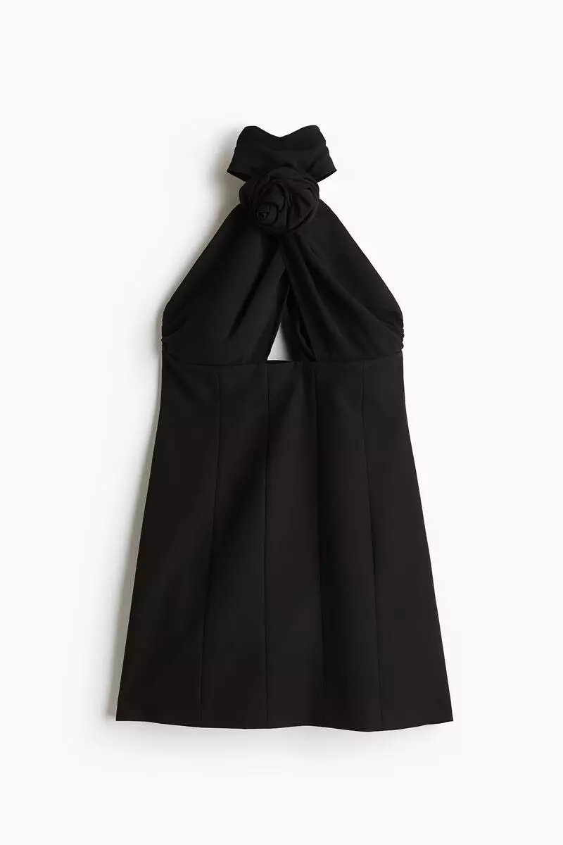 Buy H&M Rose-appliqu halterneck dress 2026 Online | ZALORA Philippines