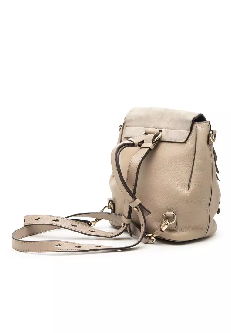 Buy Chloé Pre-Loved Chloé Small Calfskin And Suede Faye Backpack 2026 ...