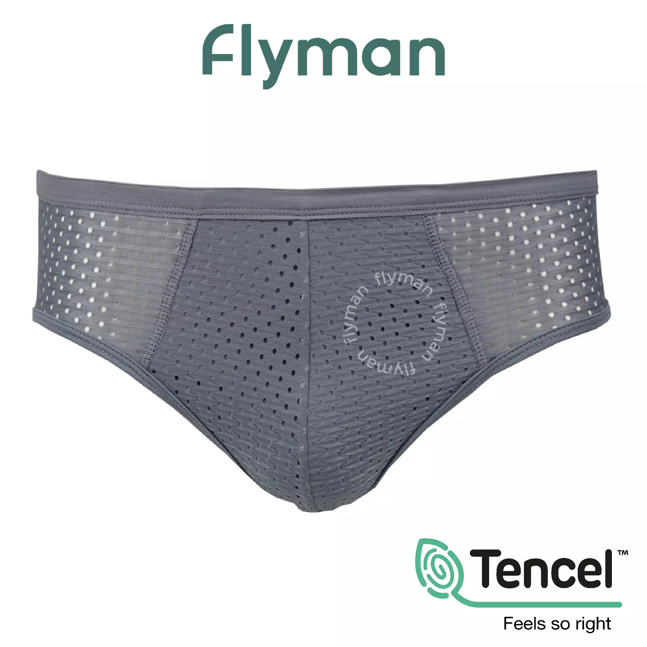 Jual FLYMAN Flyman Fussion Briefs 3 pcs FM 3245 Original 2026 | ZALORA ...
