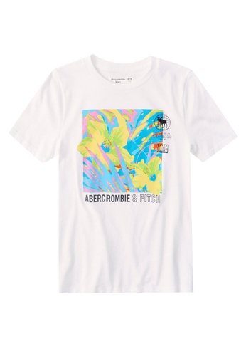 abercrombie and fitch t shirts online