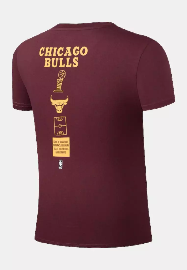 Chicago Bulls T-Shirt for Men Urban Lines Collection