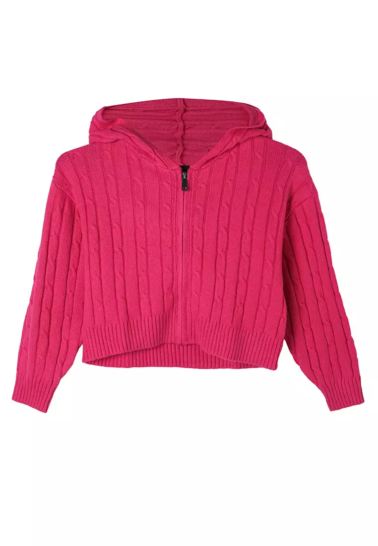 Buy GAP Cashsoft Cable Zip Thru Hoodie 2025 Online ZALORA