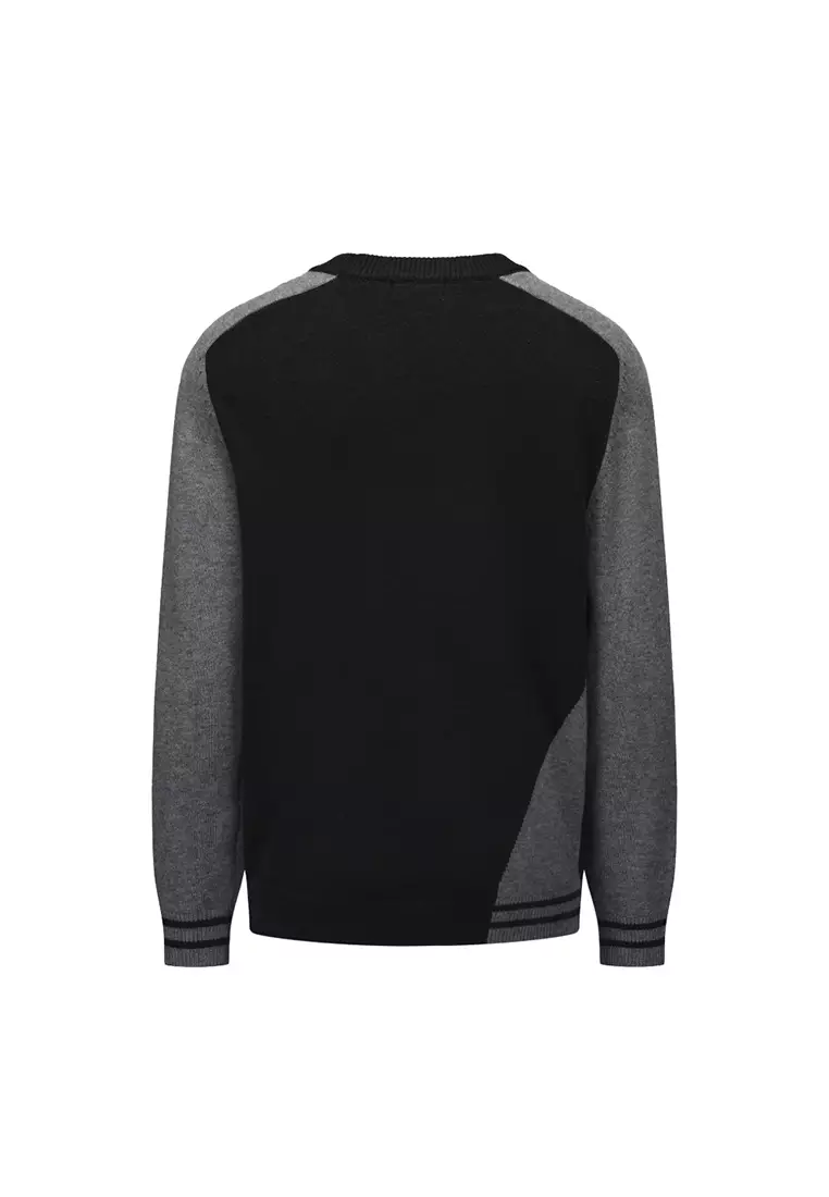 Men Crew Neck Knitted Sweater