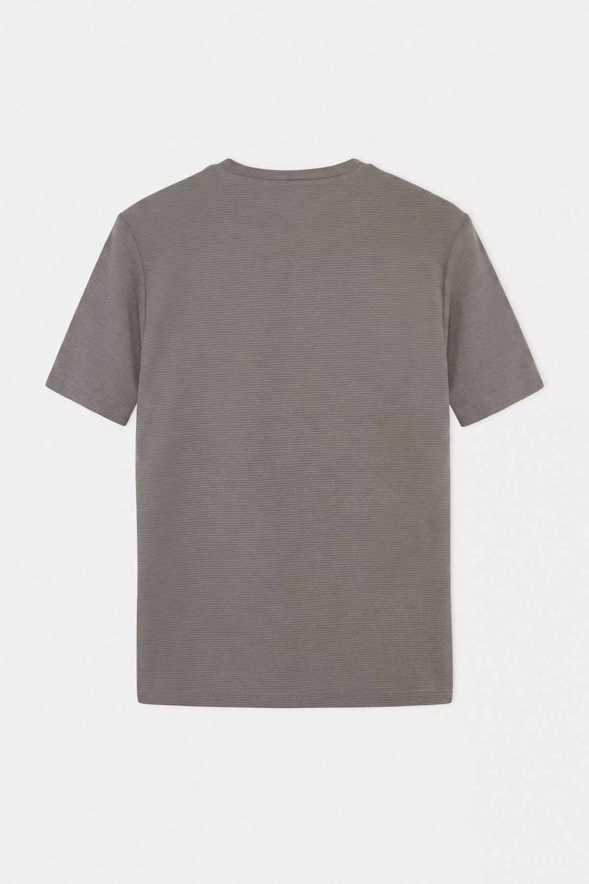 Mink Regular/Normal Cut Textured T-Shirt Tmnss26Ts00067