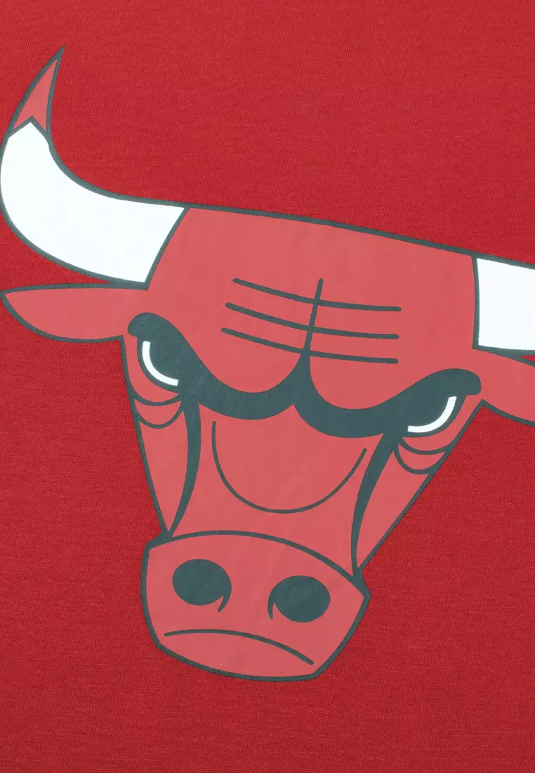Primary Logo Team Chicago Bulls Regular Fit Mens T-Shirt
