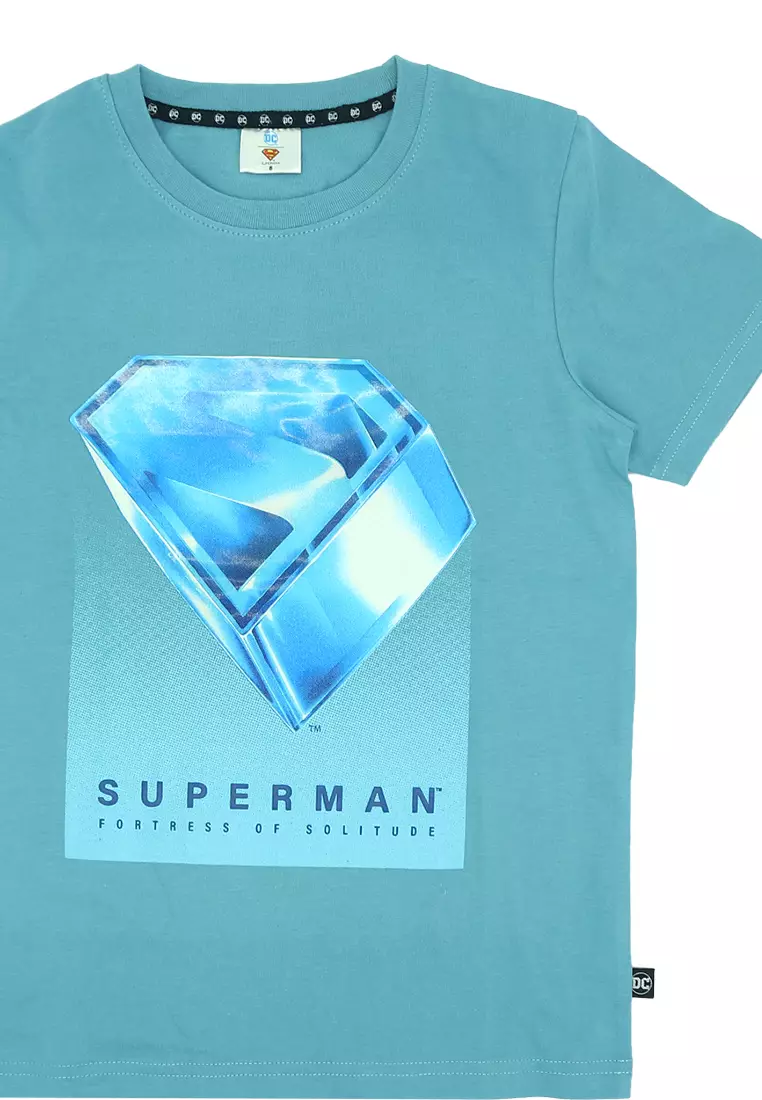 Boys Licensed Graphic T-Shirt Crystal 3D Logo