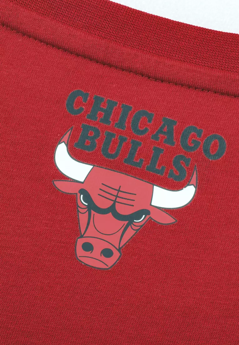 Primary Logo Team Chicago Bulls Regular Fit Mens T-Shirt