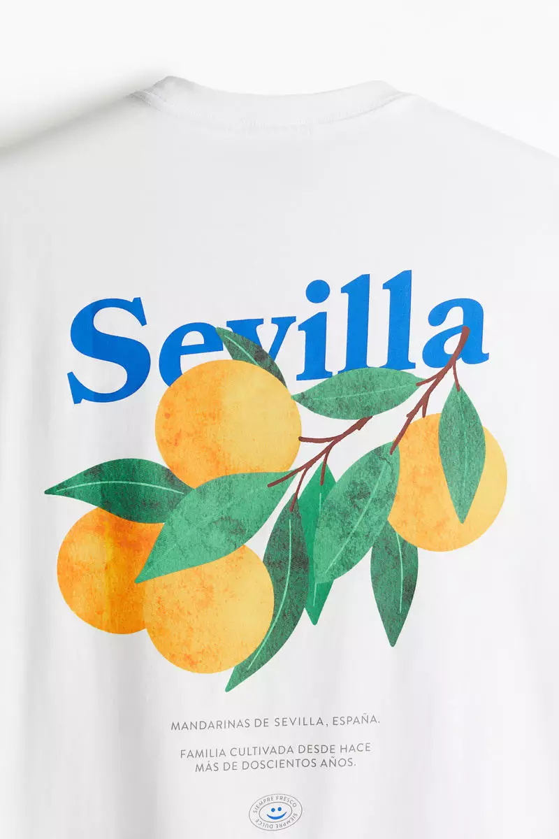 Buy H&M Loose Fit Printed T-shirt 2025 Online ZALORA