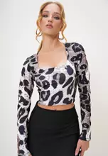 Leopard