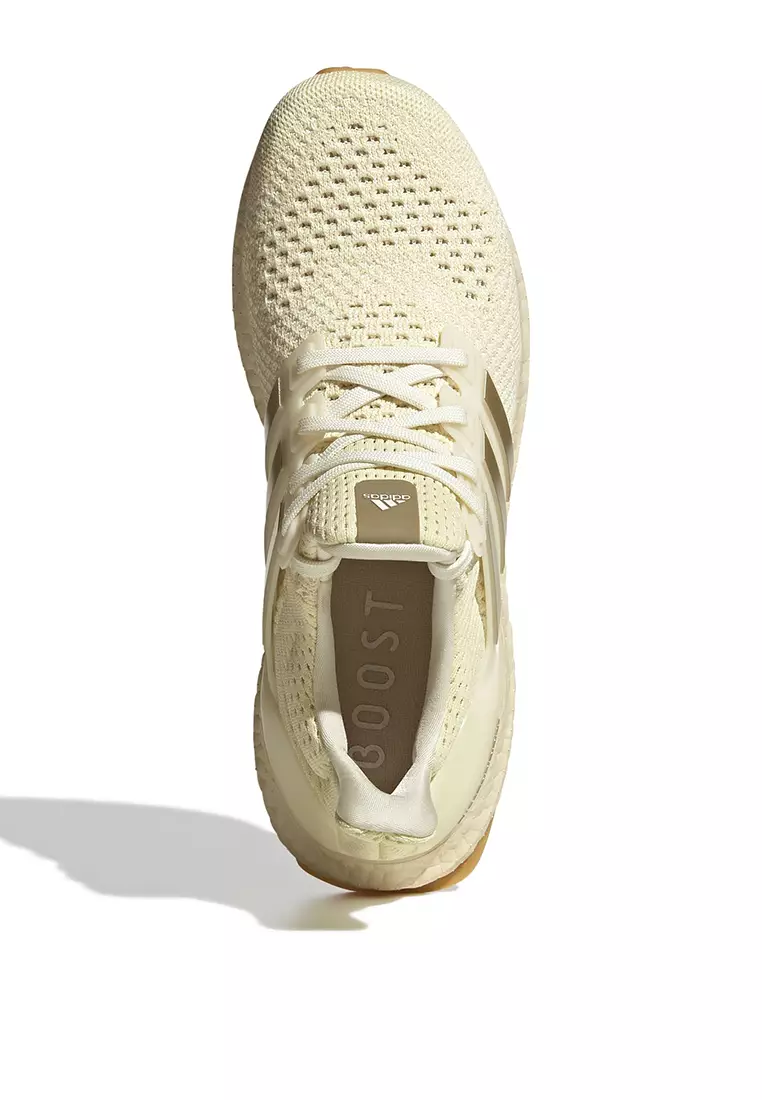 Ultraboost 1.0 Shoes