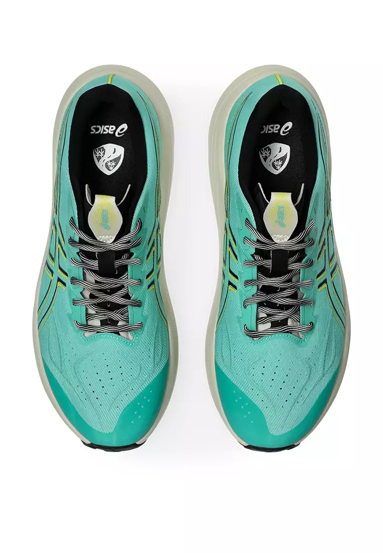 Asics Men GT-2000 14 TR Standard Nature Bathing-1011C219.300