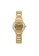 Sector gold Sector 665 38mm Ladies Watches R3253524506 3C6BDAC7770652GS_2