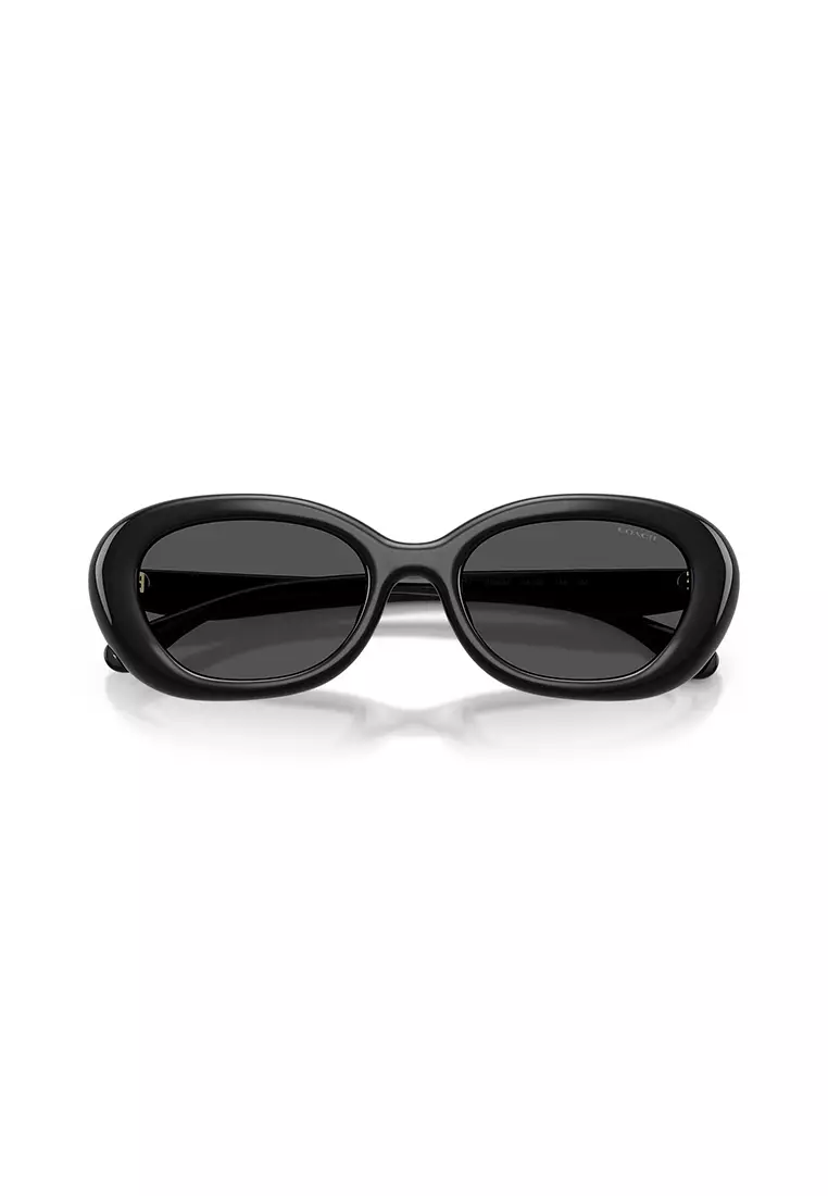 Women's Oval Frame Black Injected Sunglasses - HC8448U