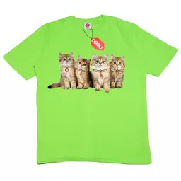 Black, Wash, Grey, White, Green