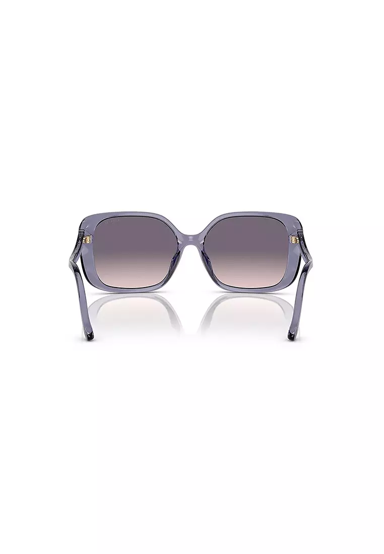 Women's Square Frame Transparent Violet Injected Sunglasses - HC8376U