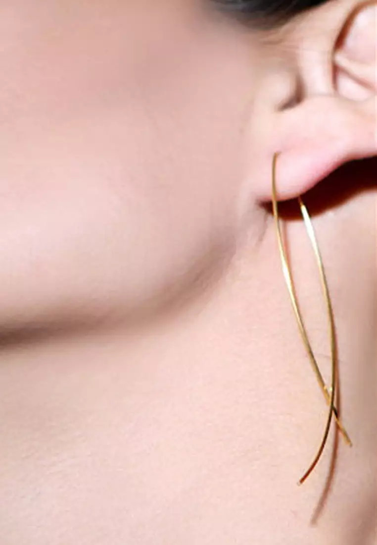 Fish Curved Threader Earrings