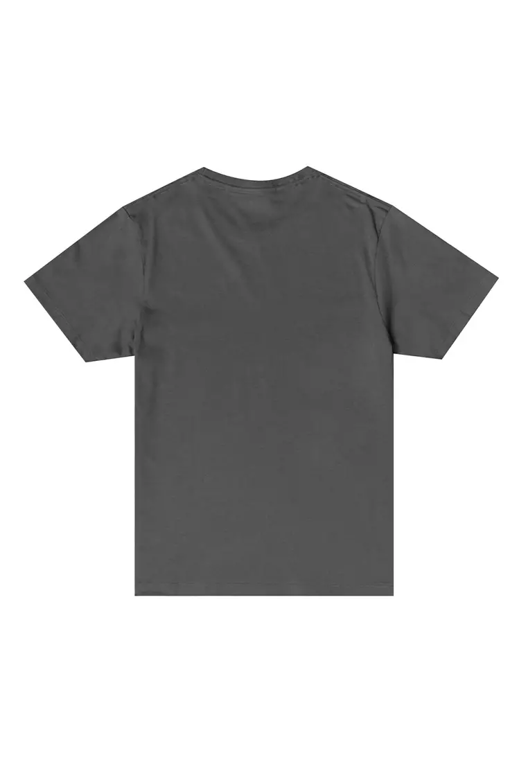 Mens Grey Round Neck T-Shirt