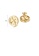 Glamorousky white Simple and Fashion Plated Gold Four-leafed Clover Geometric Round 316L Stainless Steel Stud Earrings with Cubic Zirconia 21FA7AC8589383GS_2
