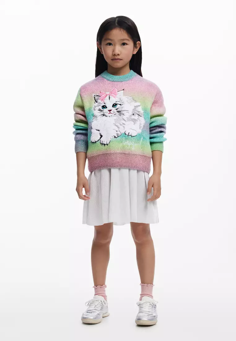 Rainbow cat sweater