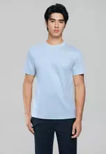 Subdued Blue